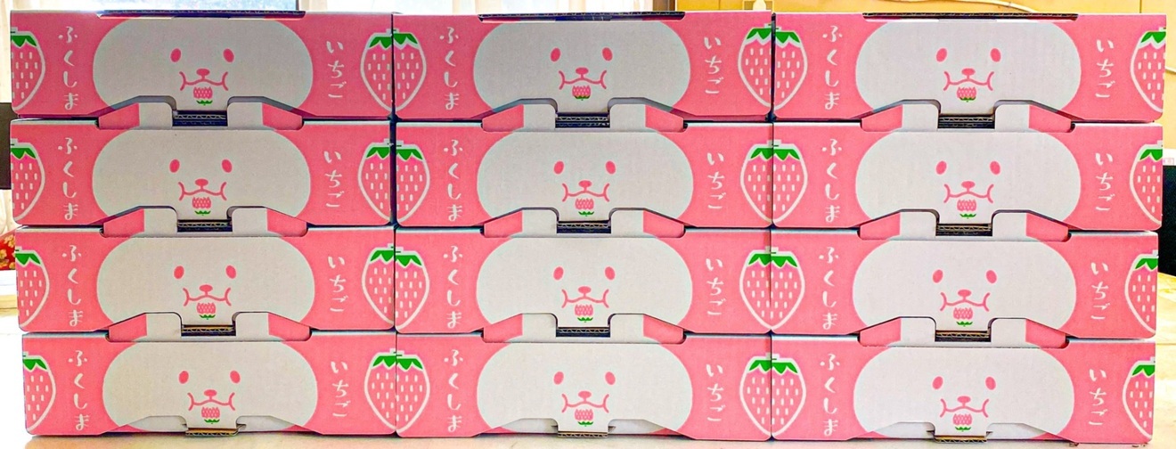 2〜3月中発送大粒いちごフルーツキャップ詰め12玉【フェスフルーツかき氷と同じ農園のいちご】