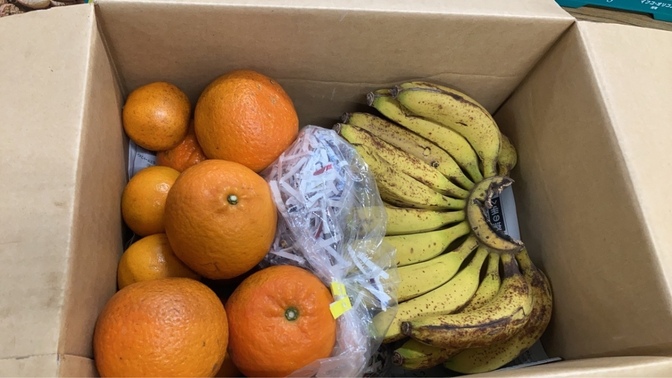 3月上旬まで限定 徳之島産タンカン1.5kg＆島バナナ