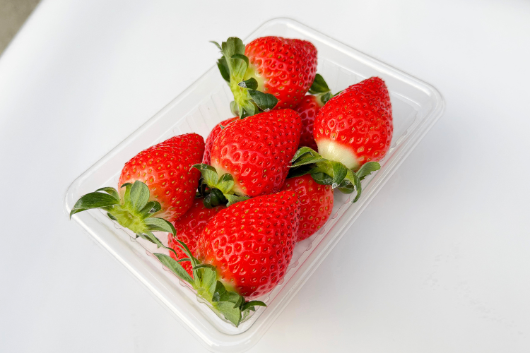 【完熟朝採り・贈答用にも家族用にも】イチゴ2パック 品種おまかせ 2L以上