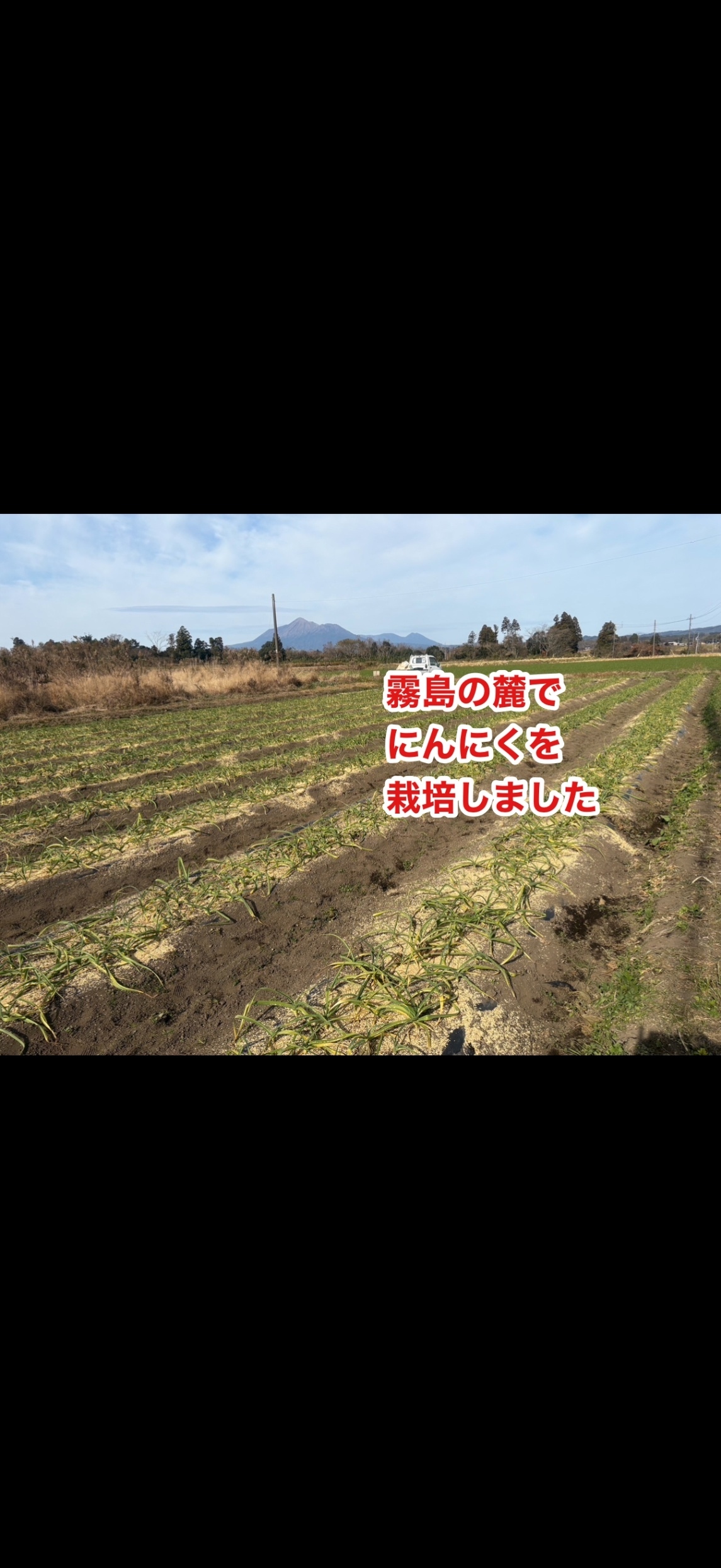 熟成黒にんにく(180g)
農薬不使用自家製栽培にんにく使用
　　