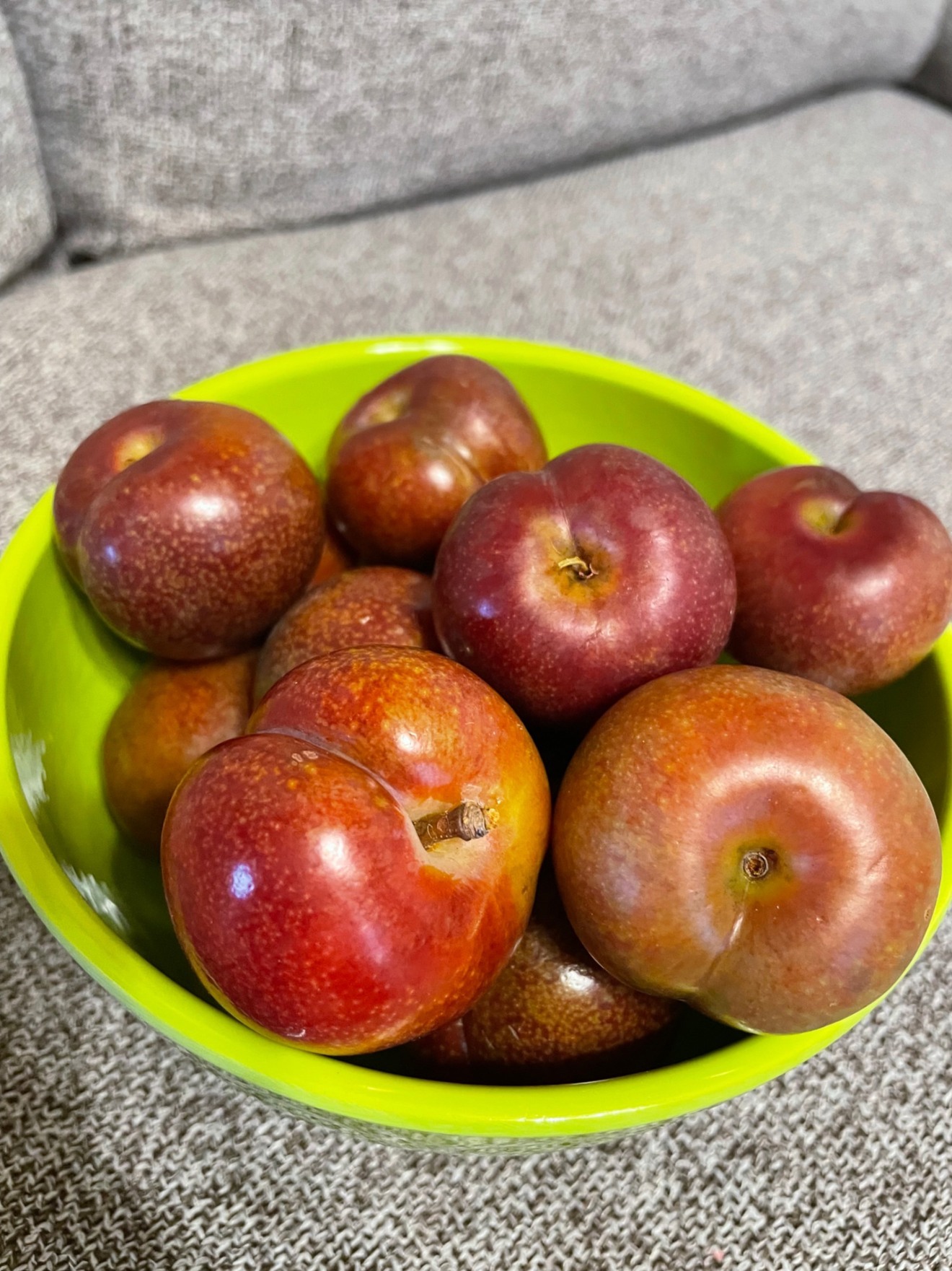 すもも　イグリスモモ　南国果実　鹿児島
