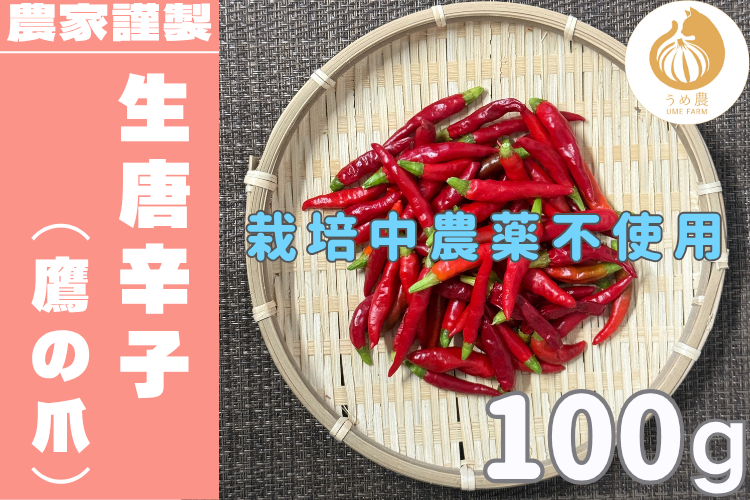 【新鮮・旬の刺激】──新鮮生唐辛子（鷹の爪） 100g 栽培時農薬不使用