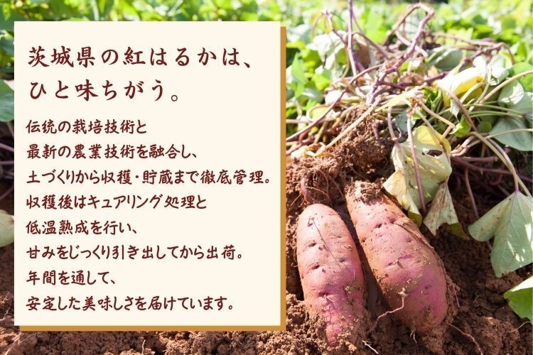 旭甘十郎 紅はるか 冷凍焼き芋（最高級・高糖度）｜無添加・自然解凍OK