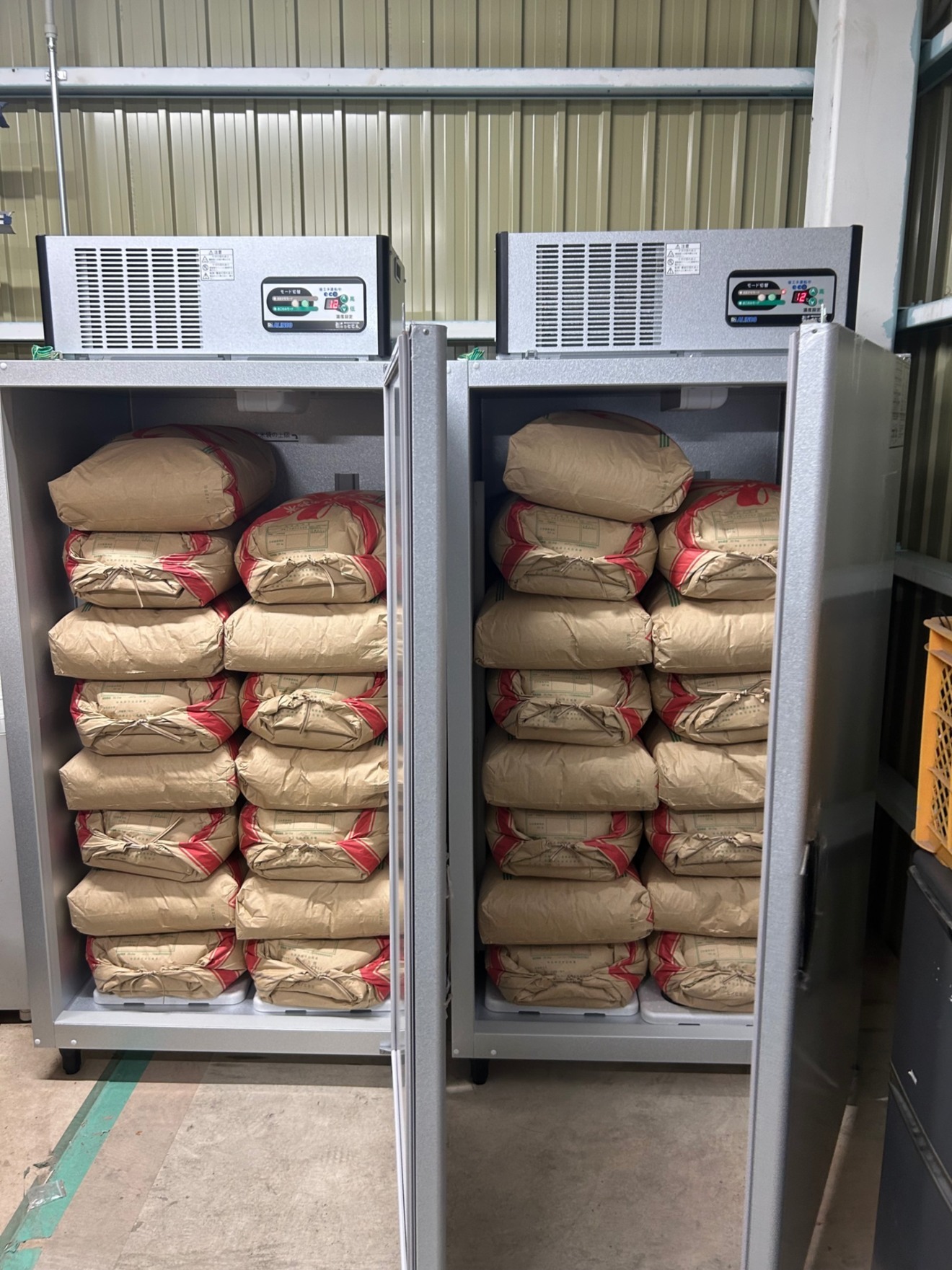 【好評につき追加販売！】令和6年産 古米 ヒノヒカリ 白米3kg 低温保管・農家直送・自家製のお米！