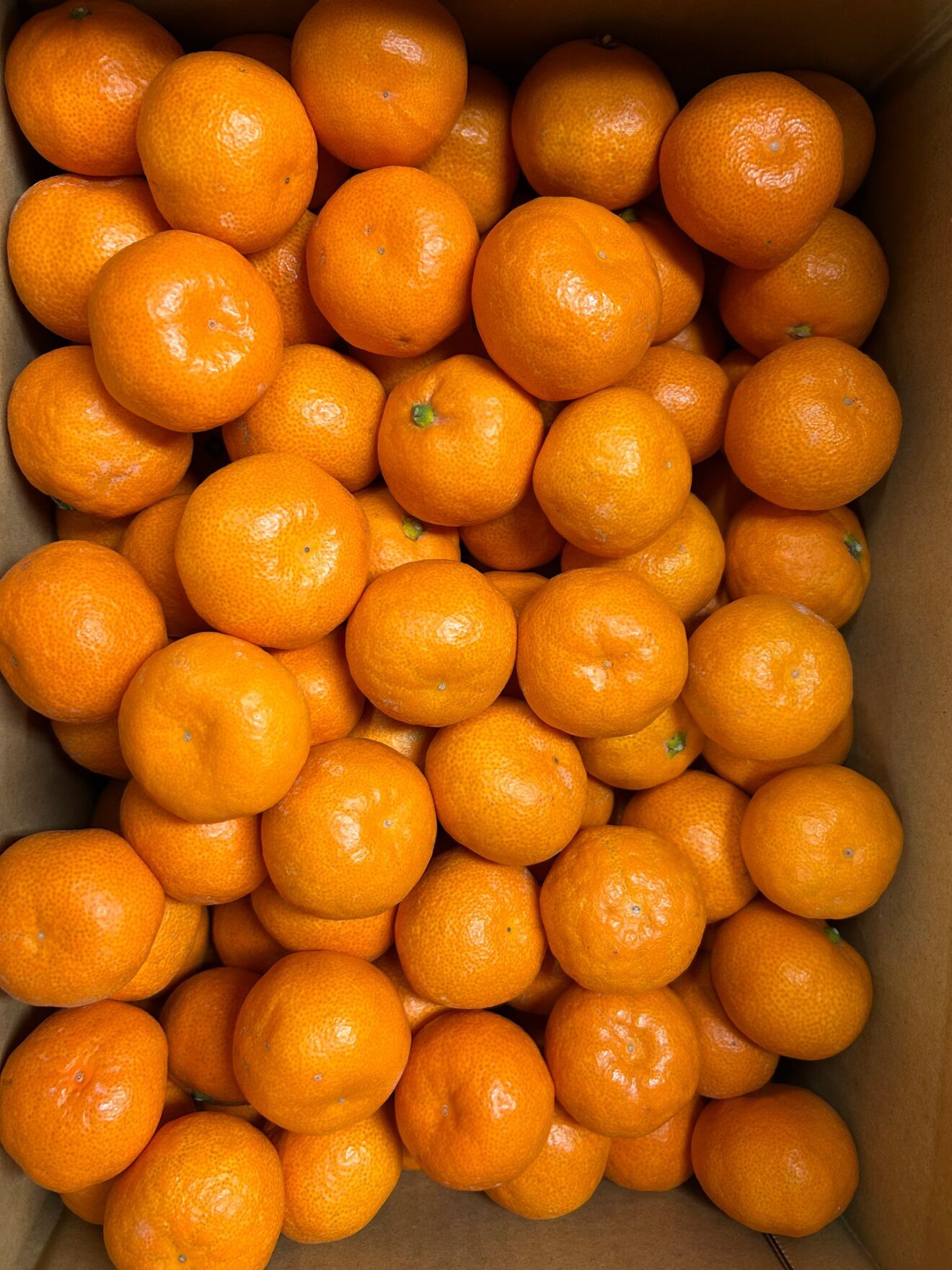  小さいみかん3S以下　箱込み7kg