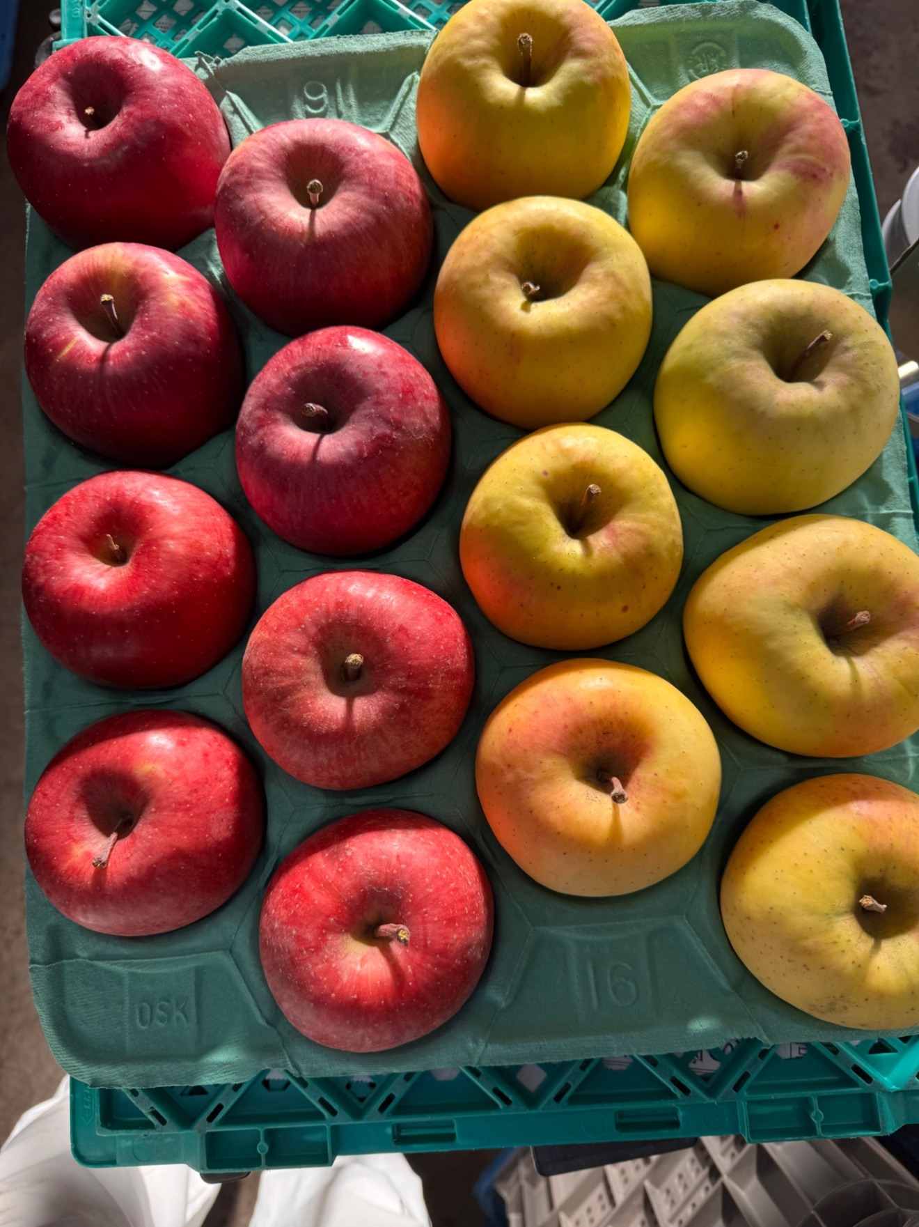 限定1点！サンふじ＆ぐんま名月約5kg【贈答用】