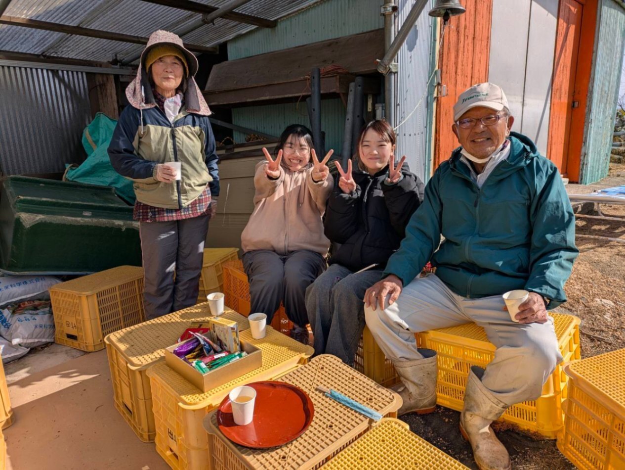 無農薬ポンカン2L・L混合4kg｜今季最終（2月末終了）
