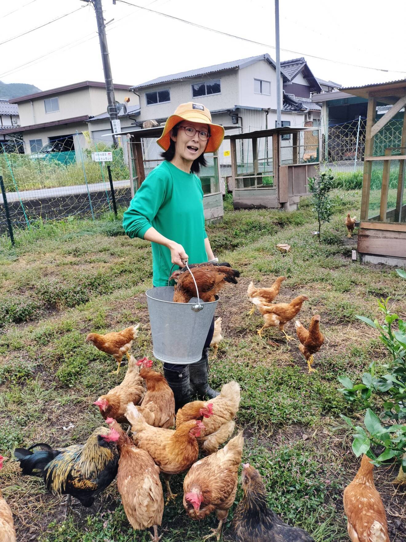 どう育ったかで選ぶ卵｜庭育ち・濃厚たまご 10個