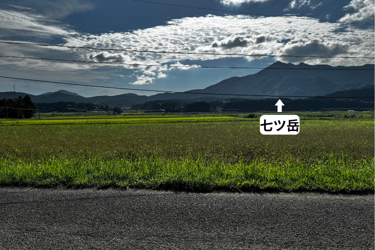【五島列島のお米　福江島山内産】
R７年８月収穫　ミルキークイーン
10キロ 8000円