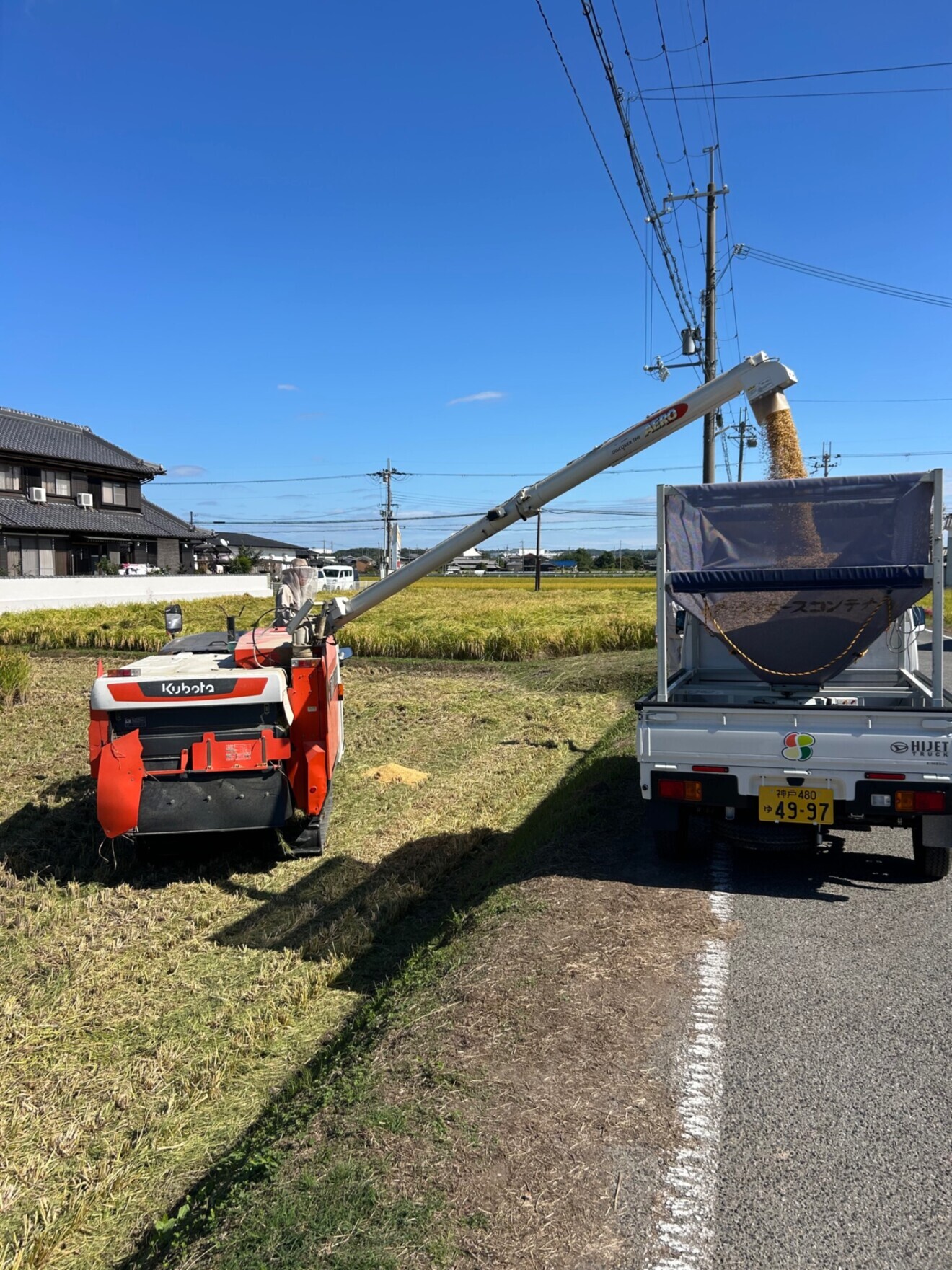 【今期分 在庫限りで終了】令和7年産 新米 ヒノヒカリ 白米5.3kg 農家直送・自家製のお米！