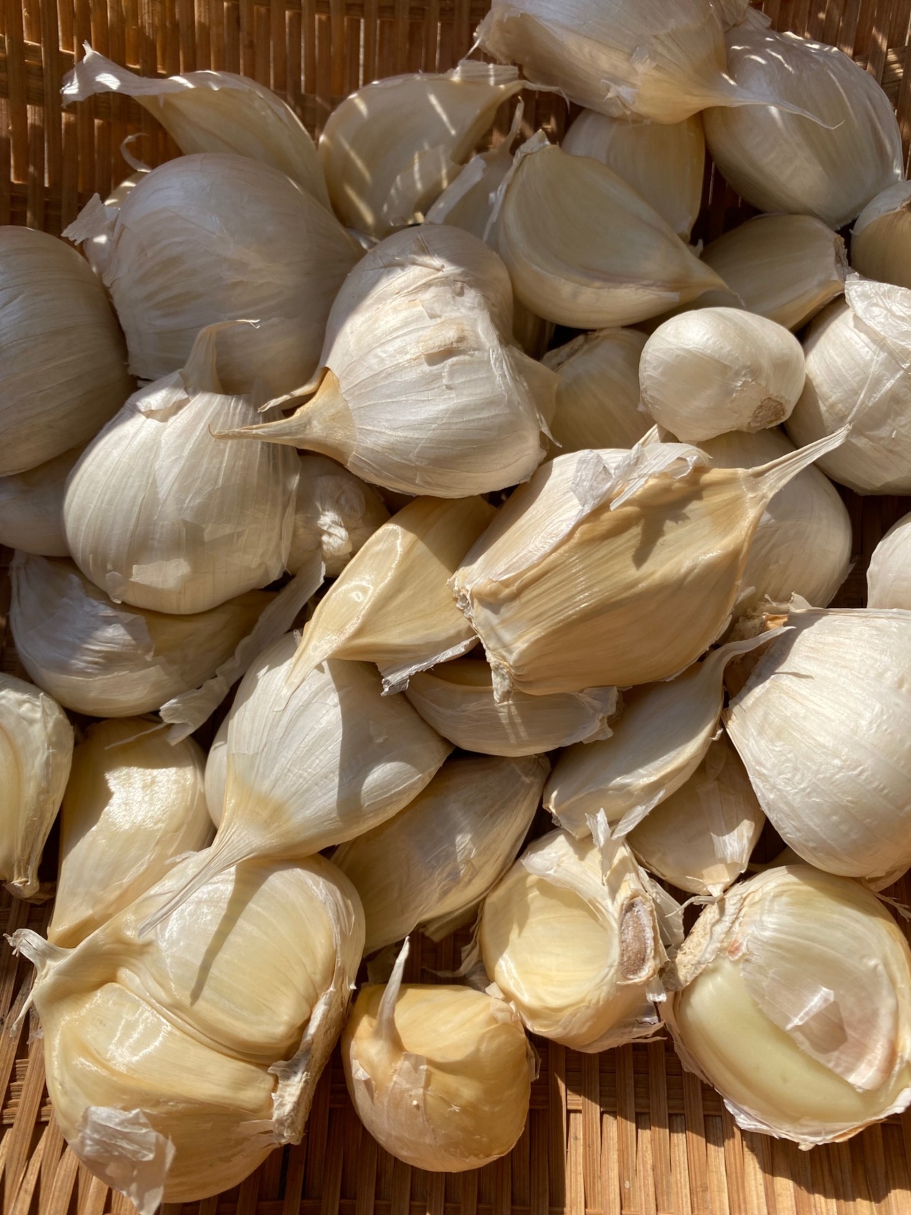 青森県産にんにく　７００g  「訳あり」
