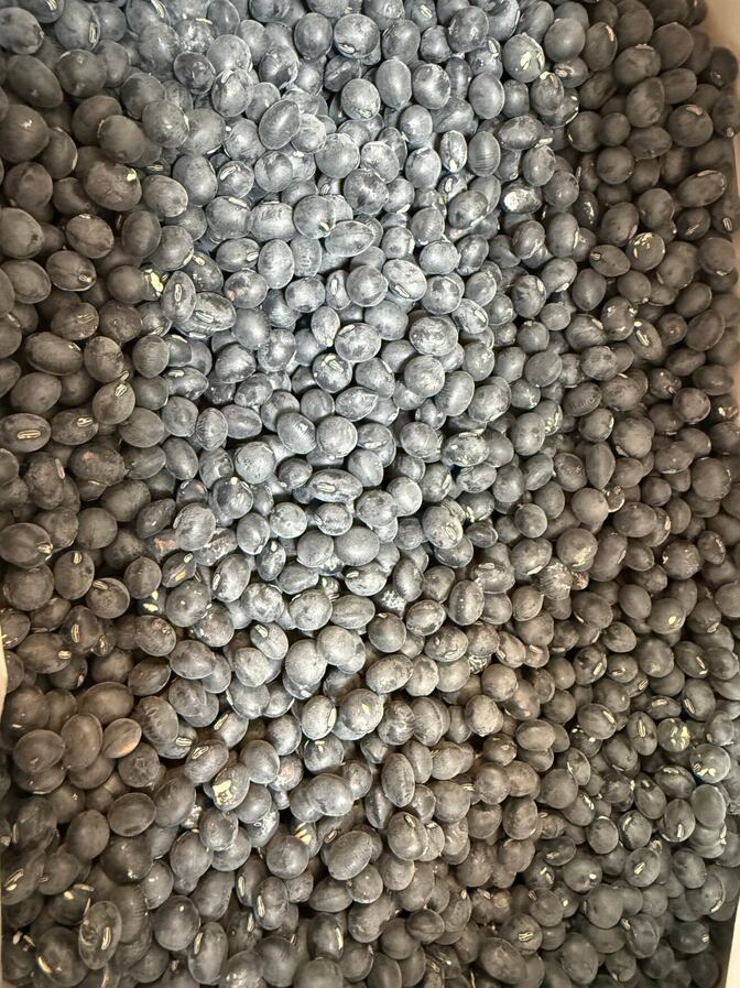 兵庫県産　黒豆　産地直送　厳選　中小粒　１kg  数量限定