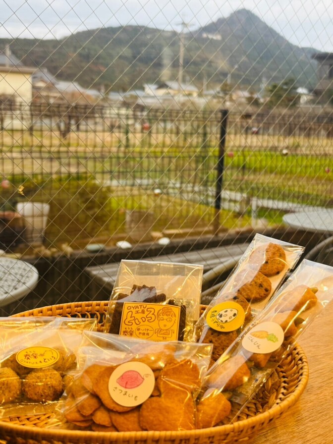 ★徳用★食べ比べ★国産小麦★優しい味の手作り焼き菓子★5種２セット10袋★