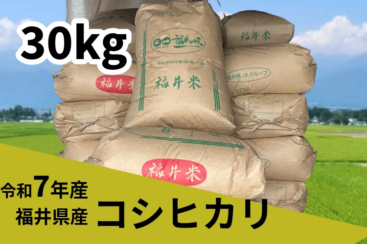 令和7年福井県産コシヒカリ30kg【玄米】｜リベシティ市場