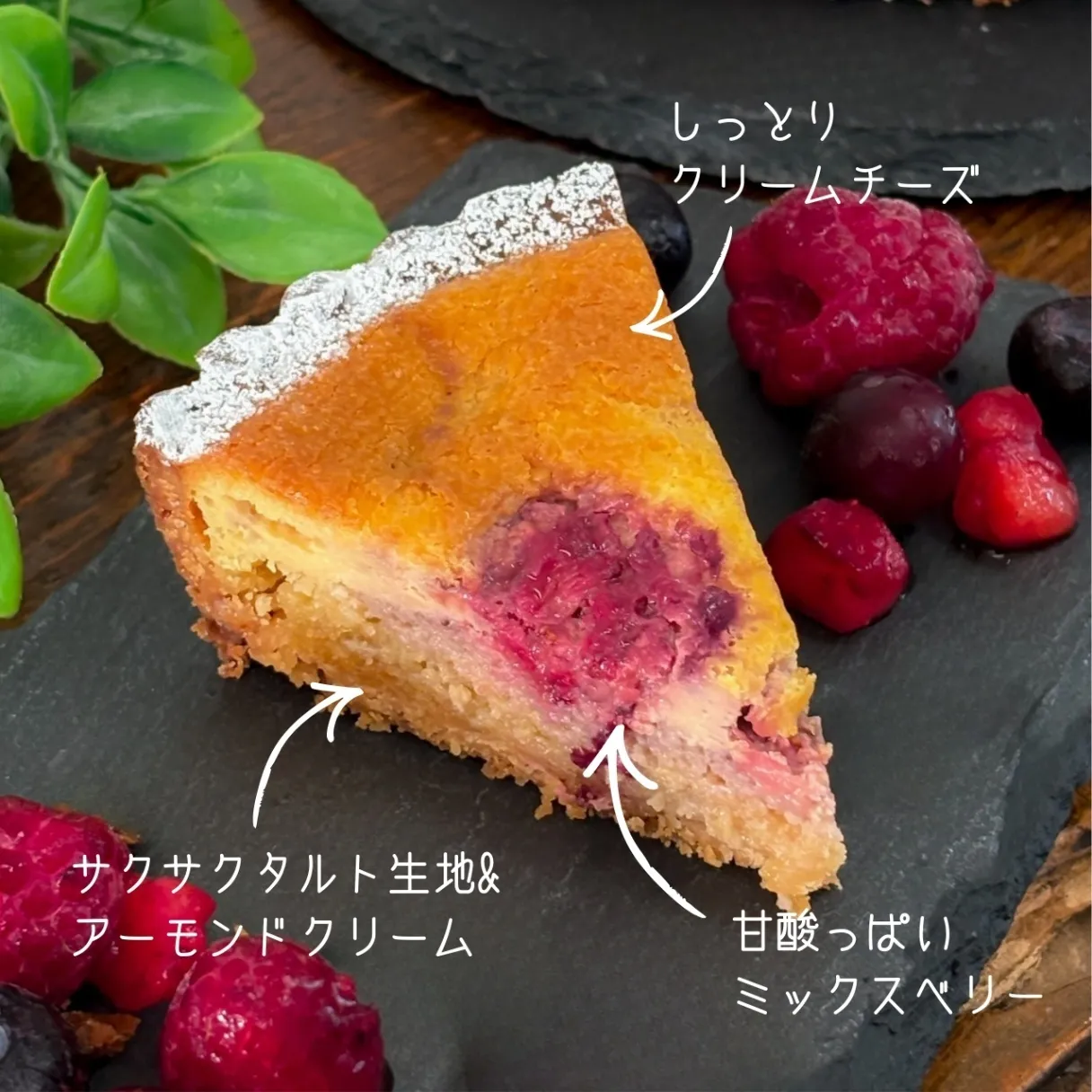 【10/23発送】　しっとりチーズクリーム&ベリータルト（5号 1ホール）