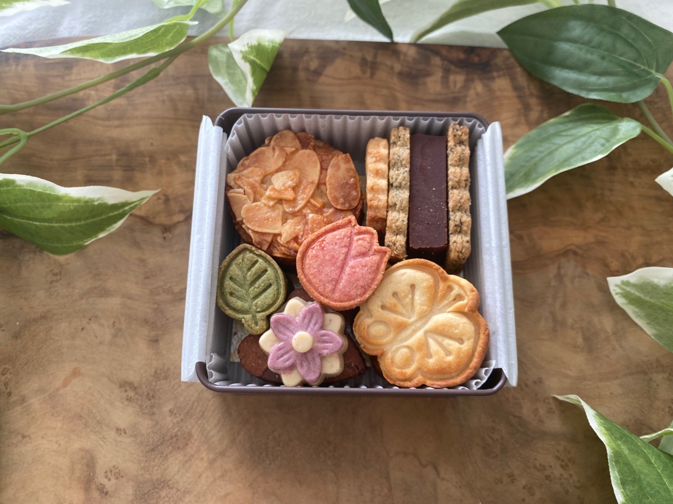 無農薬玄米粉を使ったヴィーガンミニクッキー缶