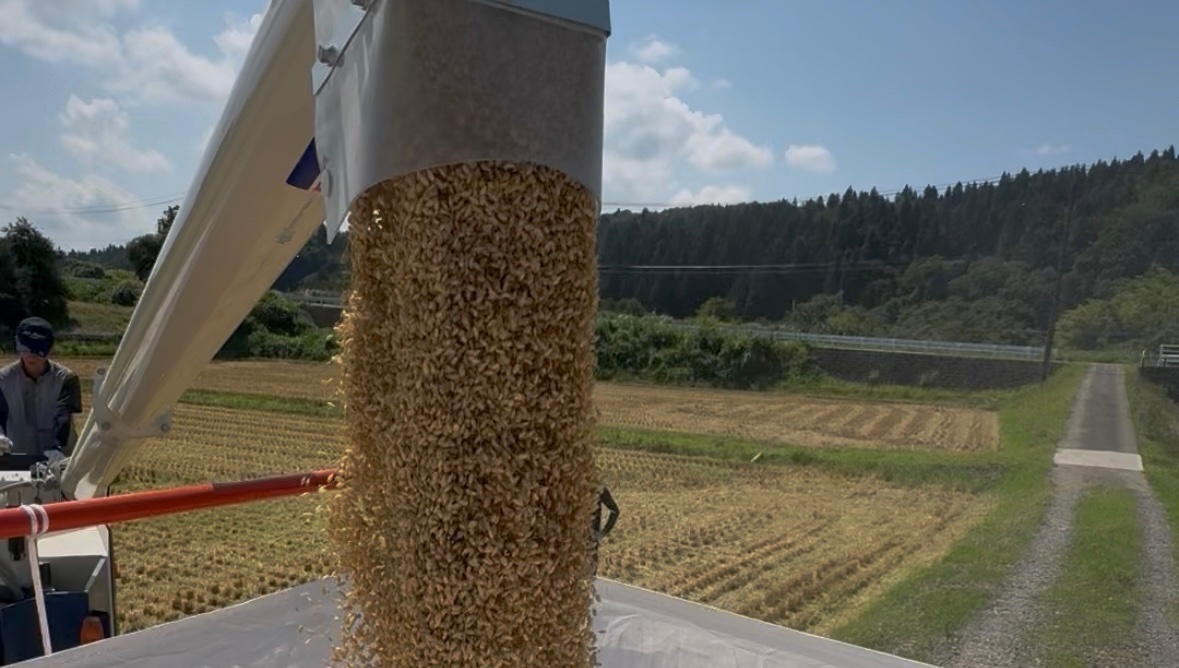 令和7年度　新之助　白米　3kg