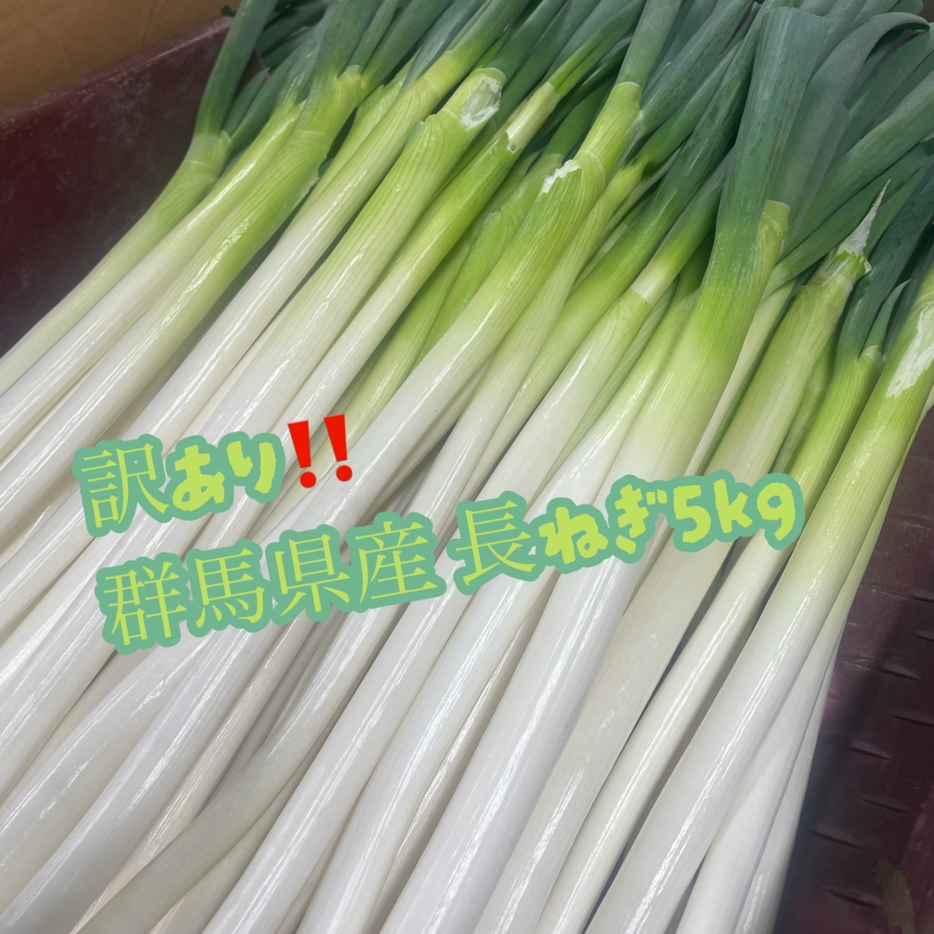 訳あり‼️群馬県産 長ねぎ 5kg