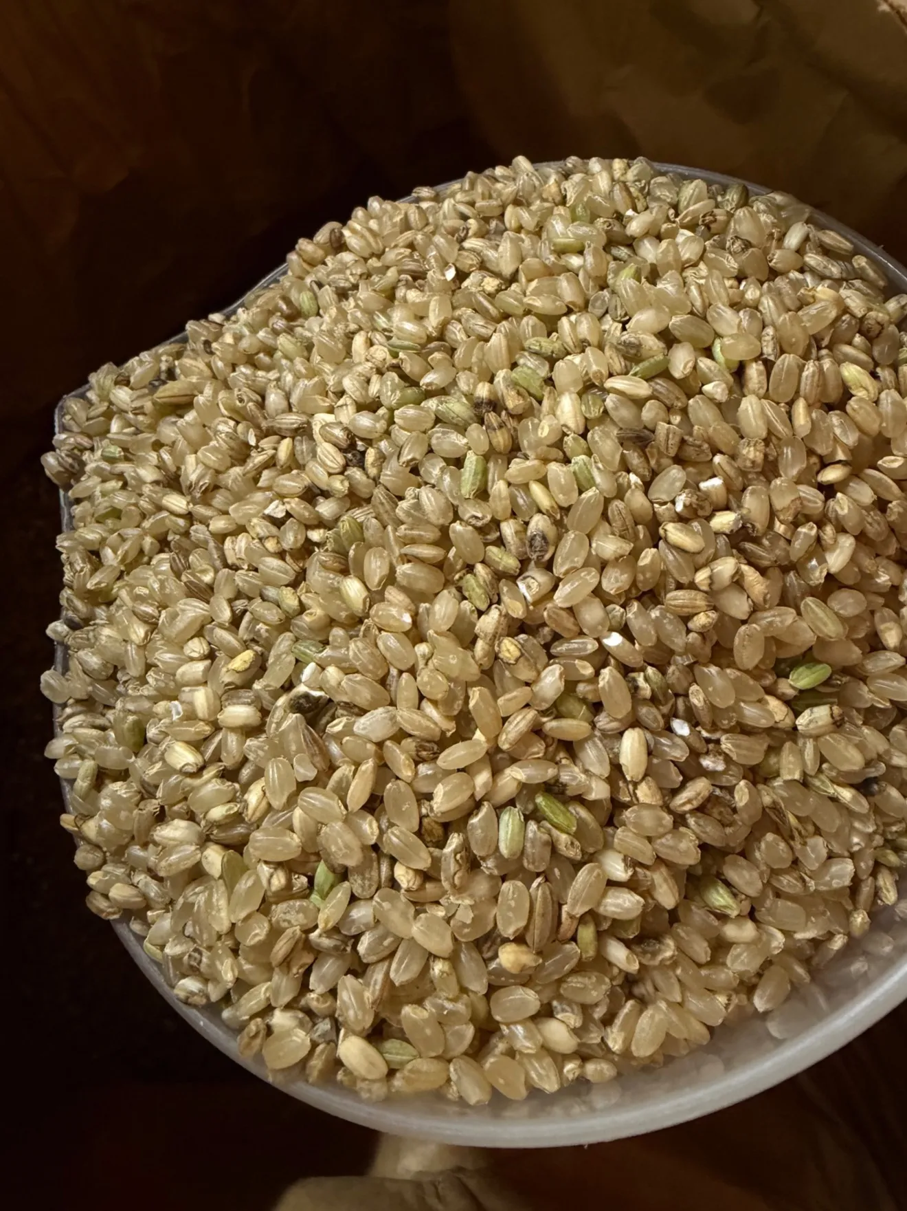 【飼料などに！】くず米15kg