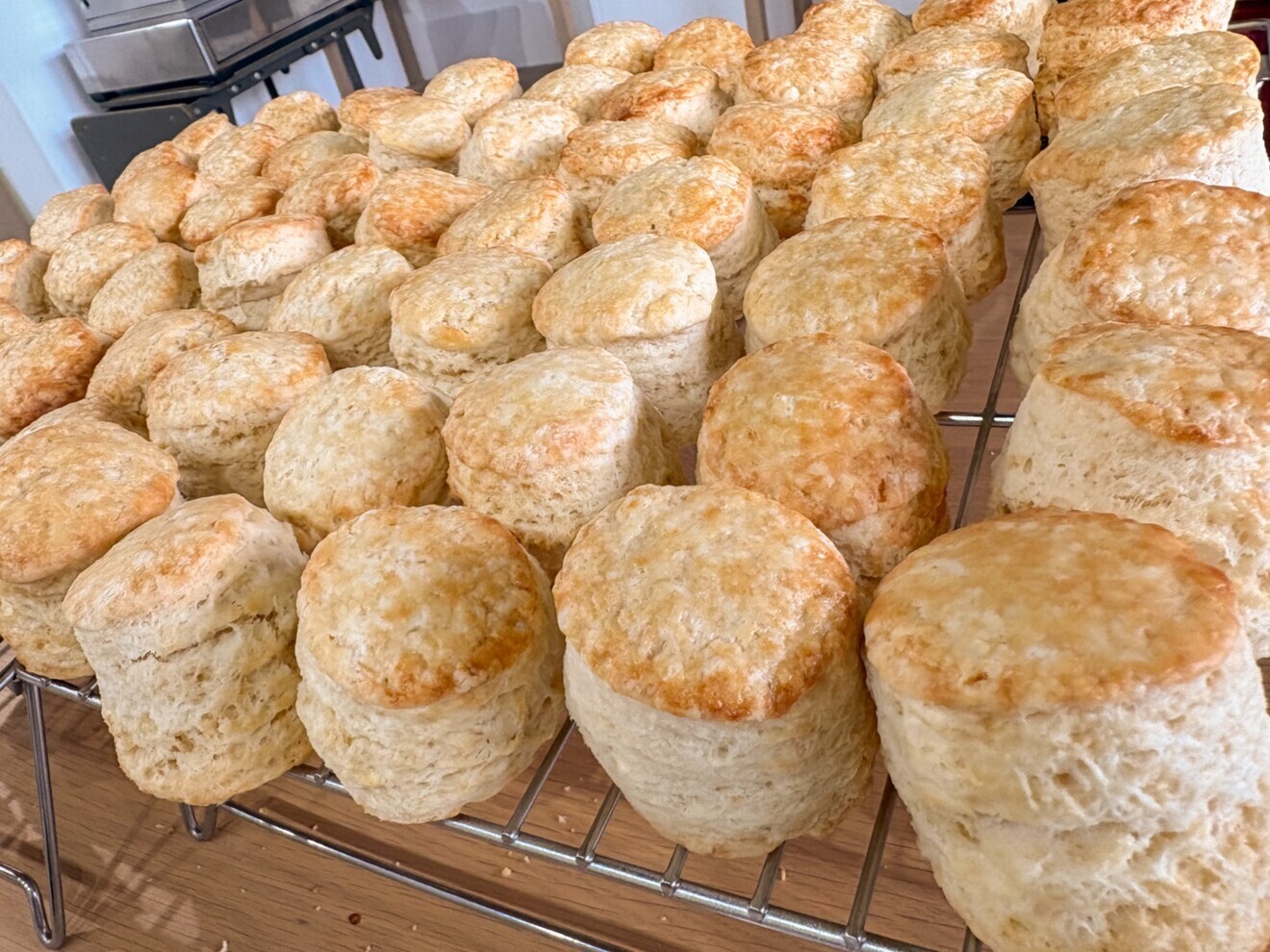 ❤️リベシティ限定❤️ご自宅用エコスコーン便🕊️14個