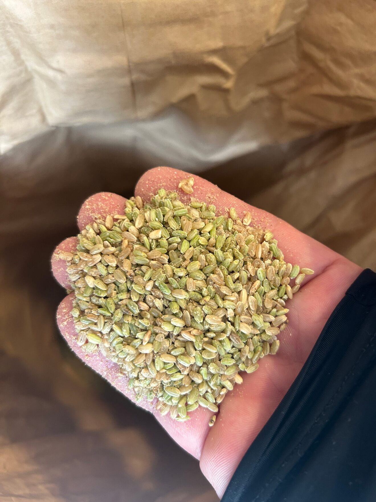 くず米（餌用）色選別下