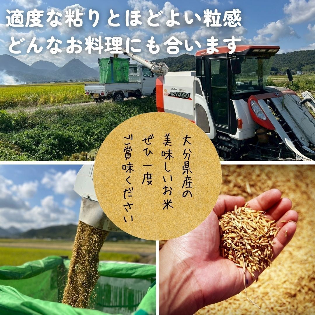 【令和７年度】白米5kg　大分県産ヒノヒカリ
