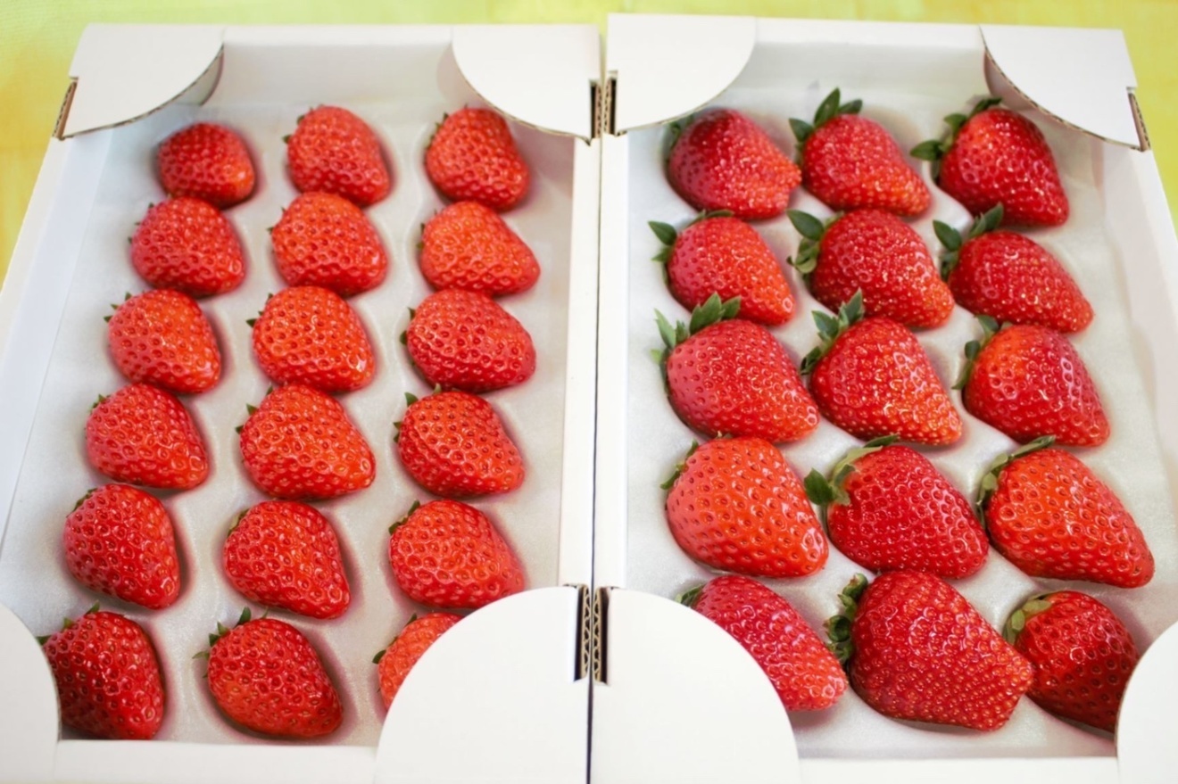 浜いちごのおまかせ詰め合わせ2箱セット