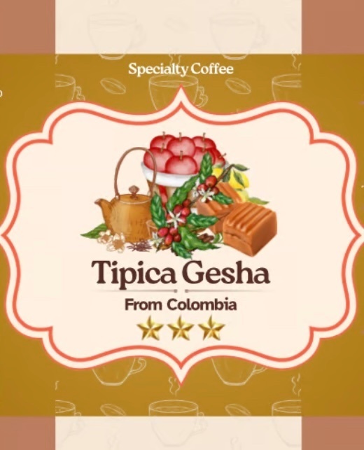 ゲイシャ【ティピカ】