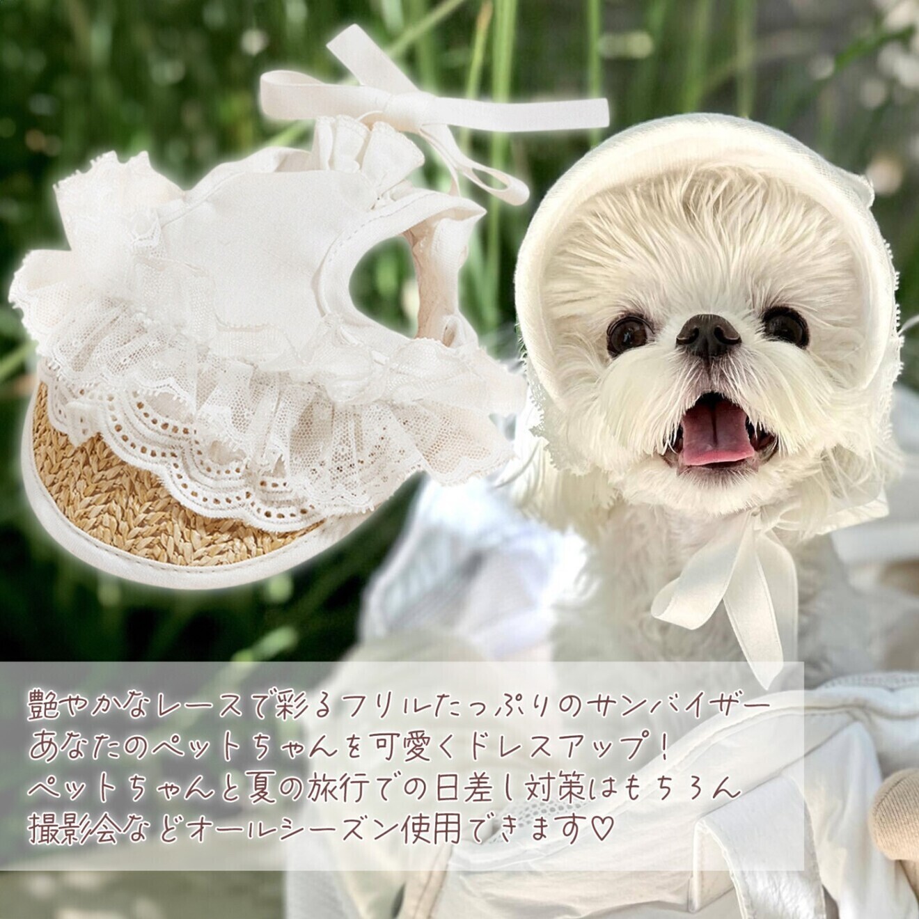 犬 帽子 夏 ペット帽子 麦わら帽子 ホワイト Mサイズ