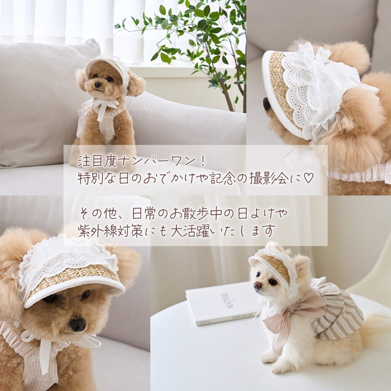 犬 帽子 夏 ペット帽子 麦わら帽子 ホワイト Mサイズ