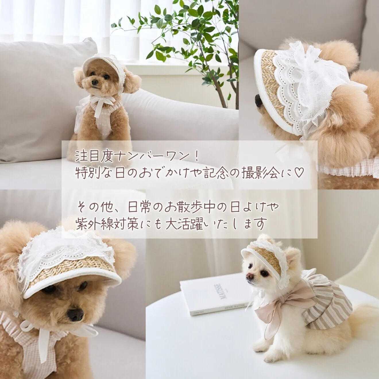 犬 帽子 夏 ペット帽子 麦わら帽子 ホワイト Mサイズ