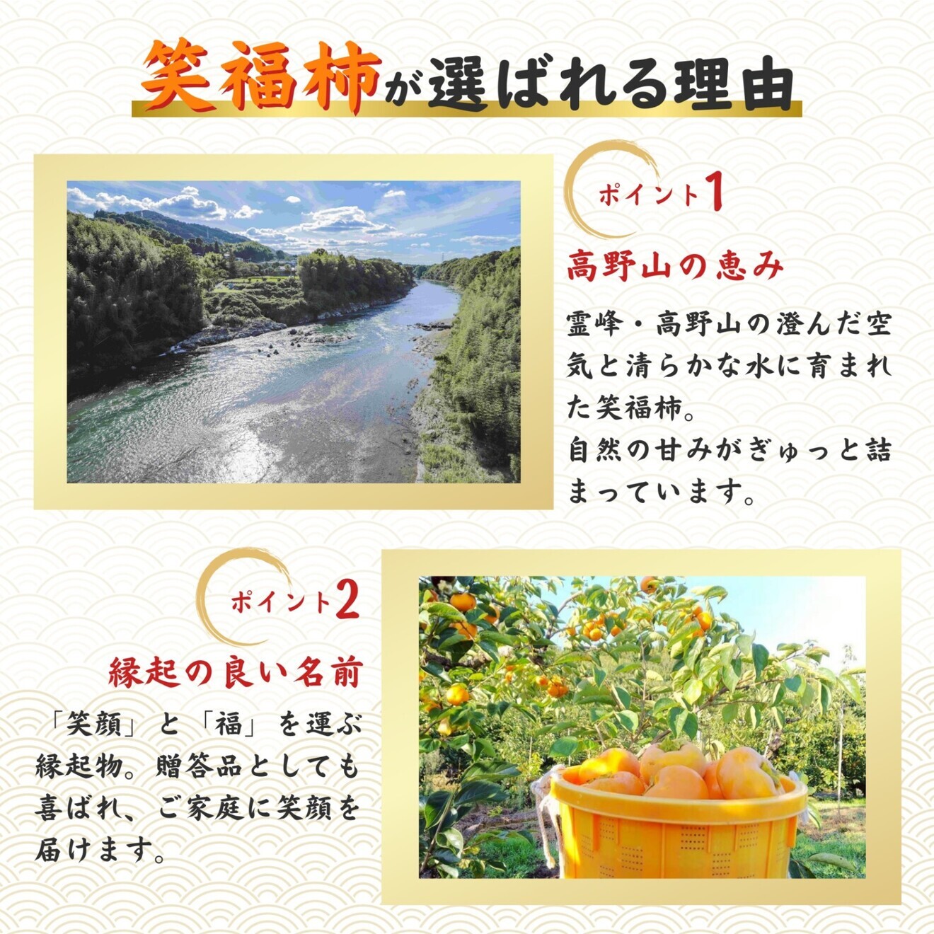 約5キロ 柿 訳あり 傷多め ご家庭用 甘い 送料無料
