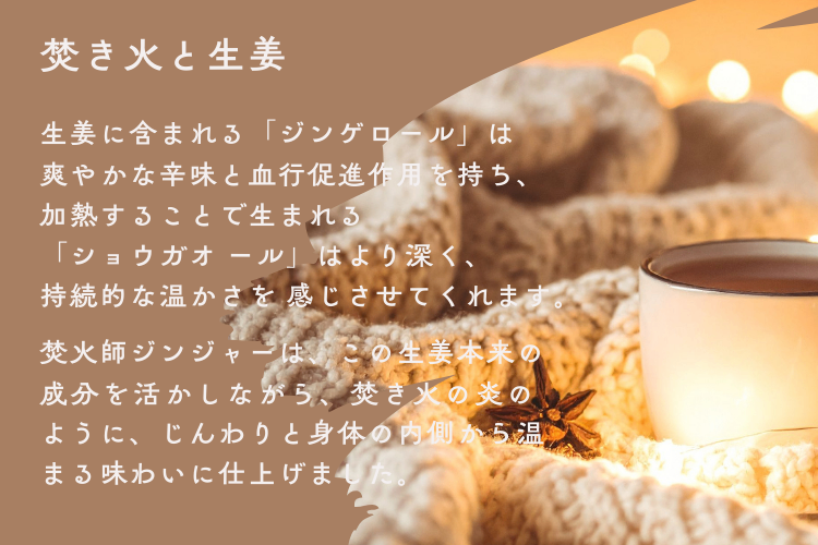 【無添加】Takibishi Ginger｜クラフトジンジャーシロップ（500ml）リベ限定価格