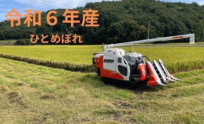 令和6年（古米）福島県産 ひとめぼれ 白米10㎏ 農家直送｜リベシティ市場