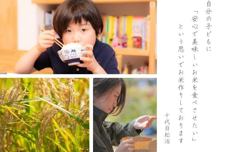 令和7年産【無洗米2kg】「コシヒカリ」特別栽培米！1750年から続くお米農家が作った縁起の竜王米