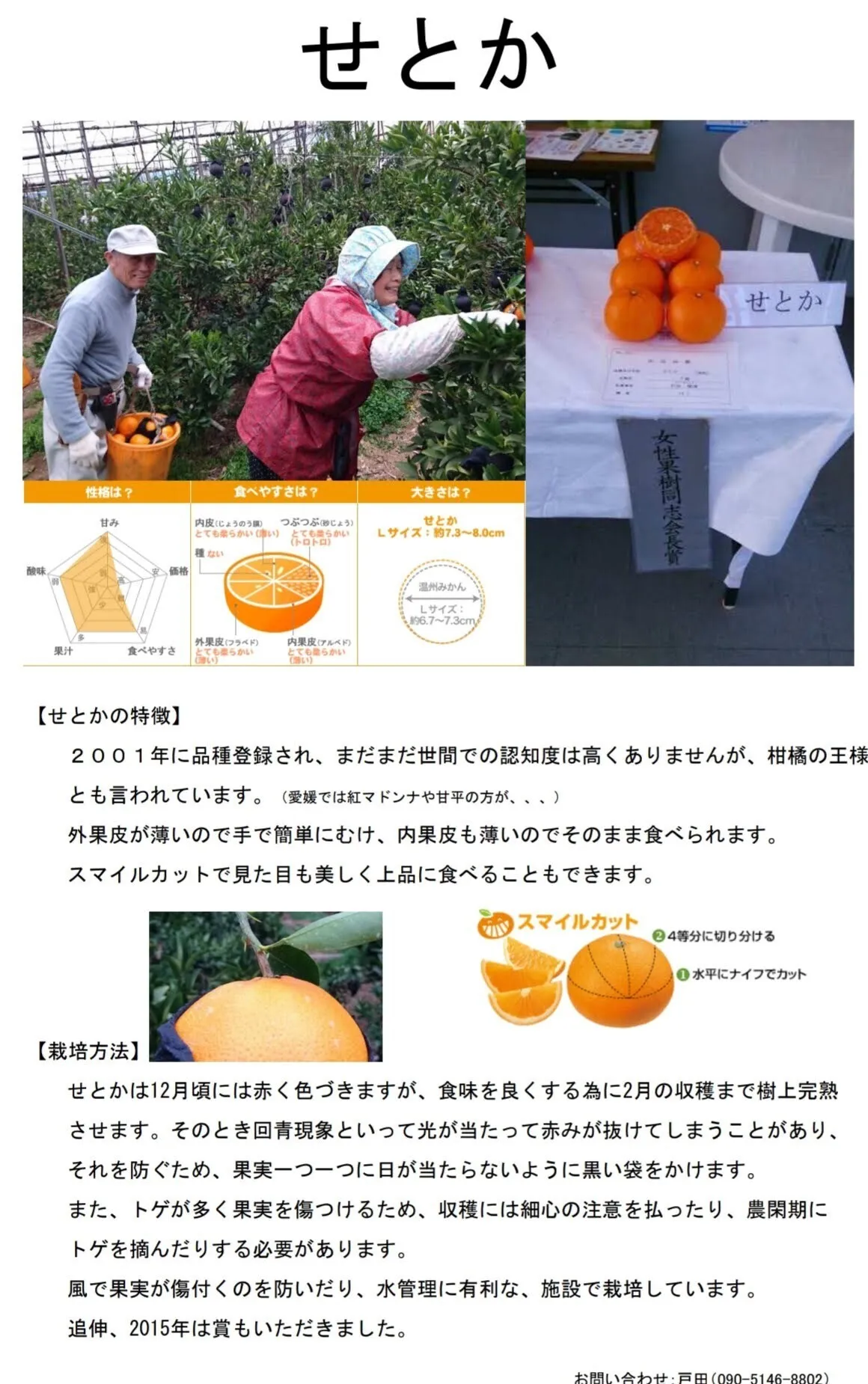 柑橘の王様とも呼ばれている「せとか」（１ケース）