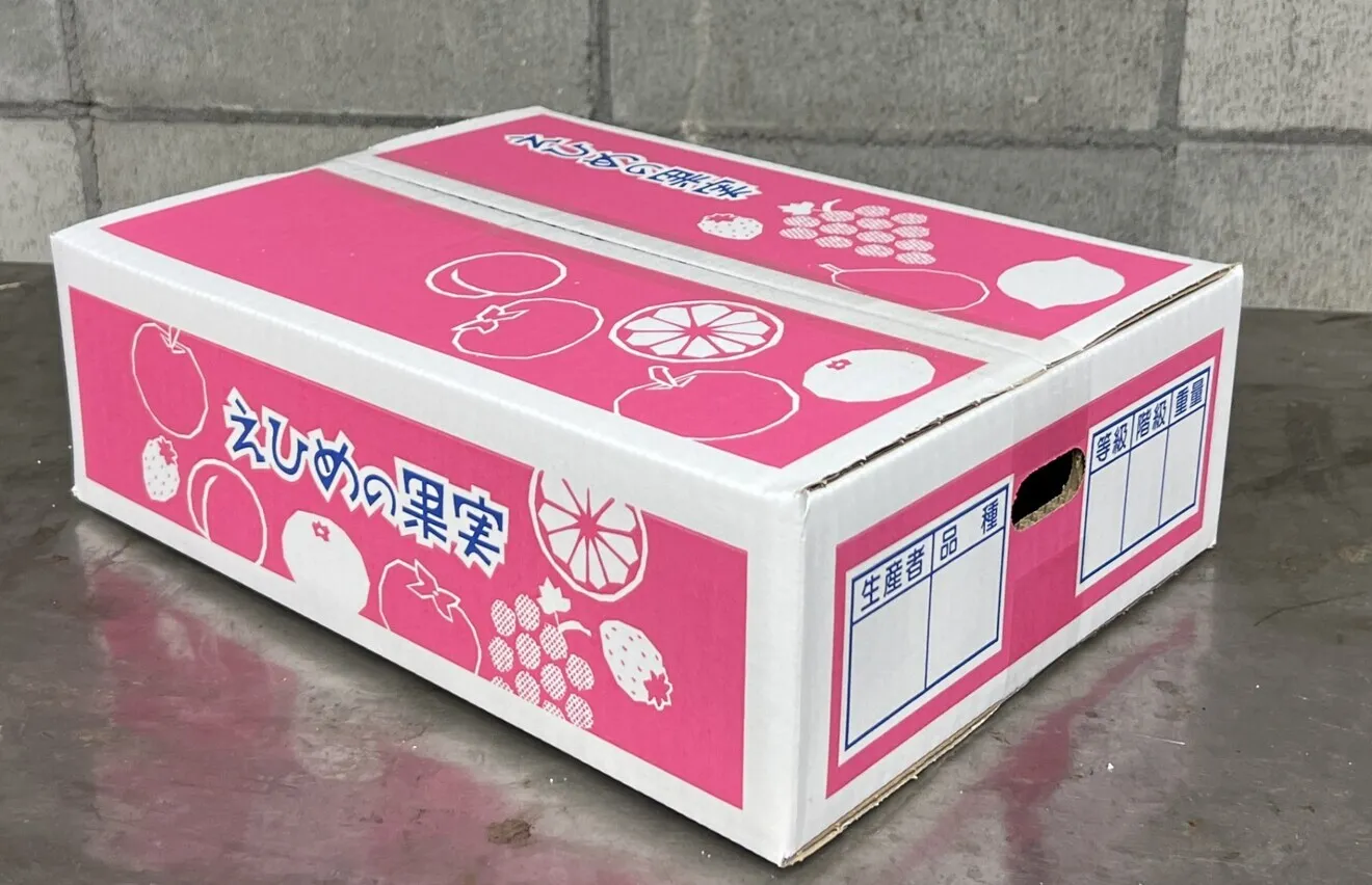柑橘の王様とも呼ばれている「せとか」（１ケース）