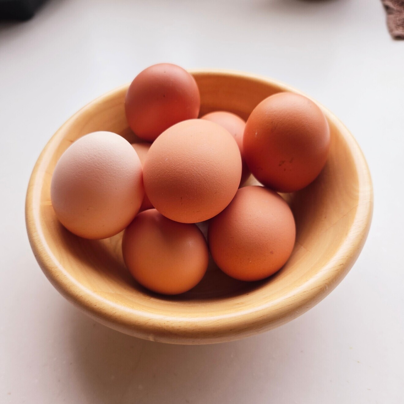 🍯はちみつで味わう✨ベイクドチーズケーキ🍰【島のお野菜×島の蜂蜜】基本送料無料！リベポ歓迎