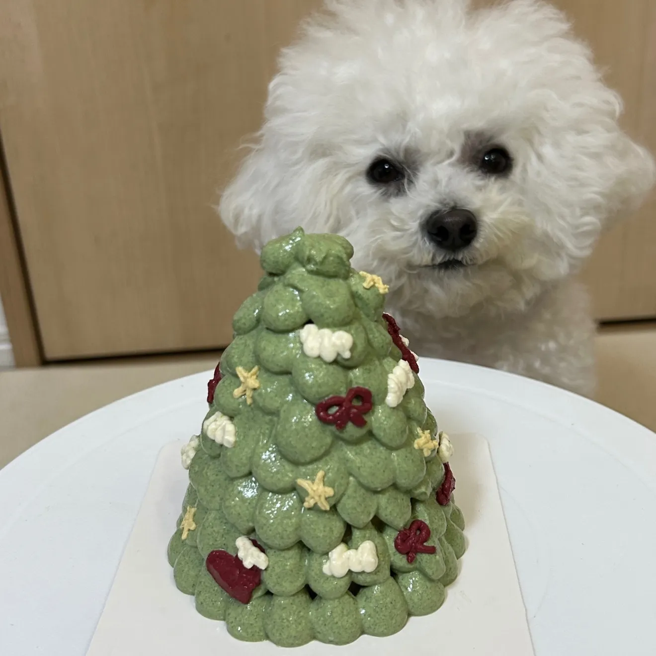 犬用クリスマスツリーケーキ