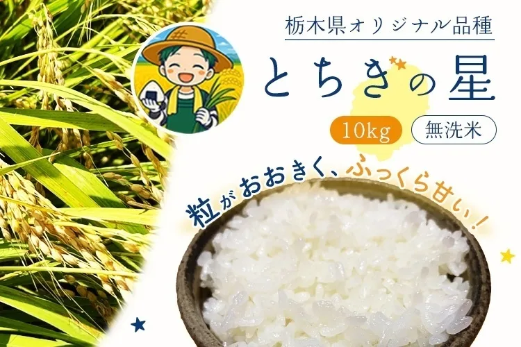 【新米】とちぎの星 10kg 無洗米🌾 栃木県産　農家直送