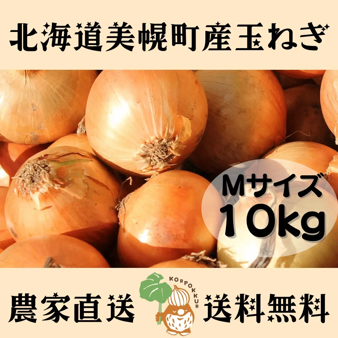 【年明け1/5から順次発送】北海道産 農家直送Mサイズ玉ねぎ10kg玉ねぎ