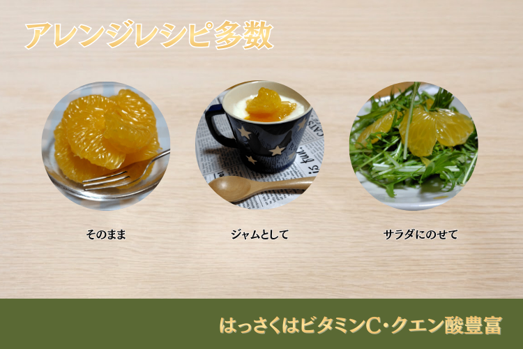 【貯蔵熟成でスッキリとした甘み】 蔵出し熟成はっさく 4.5kg サイズ混合