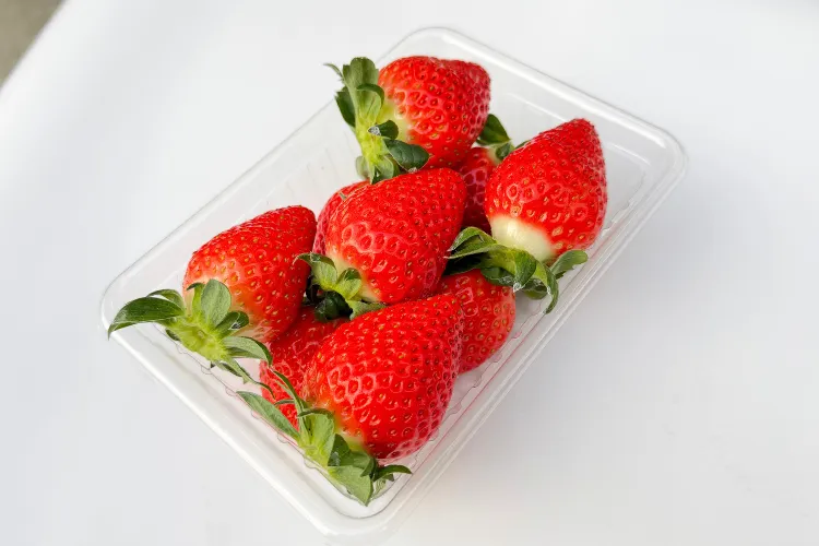 【完熟朝採り・贈答用にも家族用にも】イチゴ４パック 品種おまかせ ２L以上