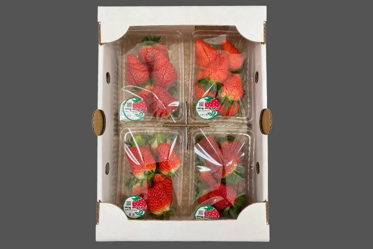 【完熟朝採り・贈答用にも家族用にも】イチゴ４パック 品種おまかせ ２L以上