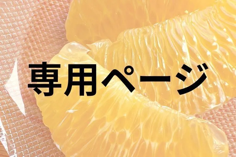 ※専用ページ※