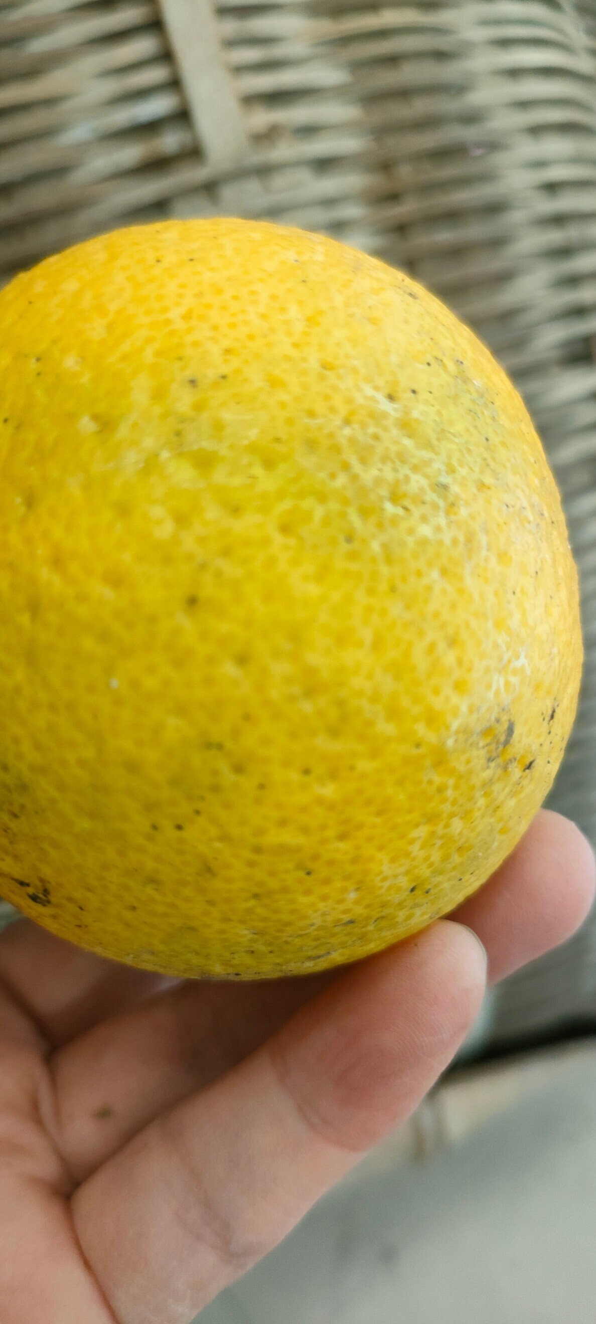 大分かぼすで作る【肉ぽん】®
ほのぼのふぁーむで栽培のかぼすで作りました
鰹節と昆布でしっかりと旨味