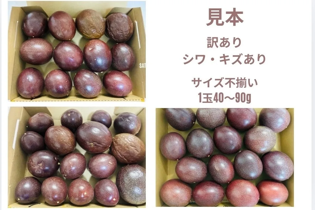 訳あり・ご家庭用】沖縄産パッションフルーツ 南国の甘酸っぱい香り
