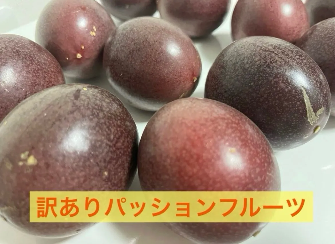 訳あり・ご家庭用】沖縄産パッションフルーツ 南国の甘酸っぱい香り