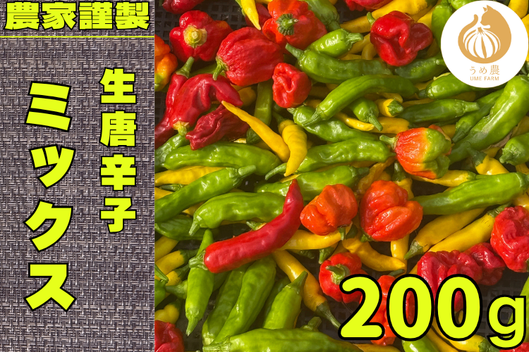 熊本県産　生唐辛子ランダムミックス200g──辛味の頂点へ🌶️