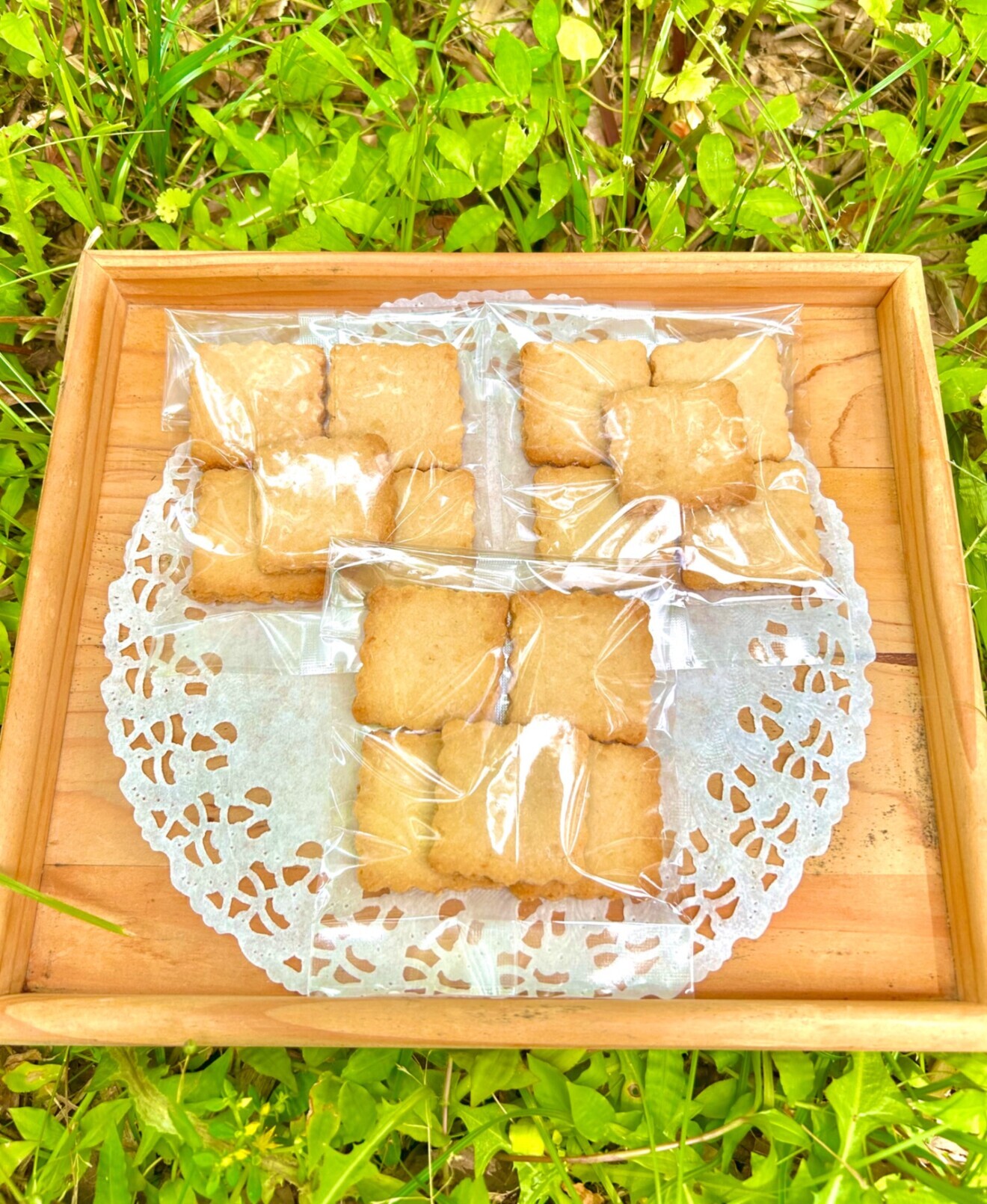 グルテンフリー❣️
ザクザク⭐️やさしいココナッツクッキー
